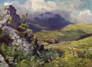 Vista de Moelwyn (cor litho) de Robert (after) Fowler