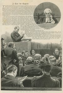 Um caso para especialistas: esboços nos tribunais reais de justiça; com uma vinheta do Sr. Justice Kay de Robert Barnes