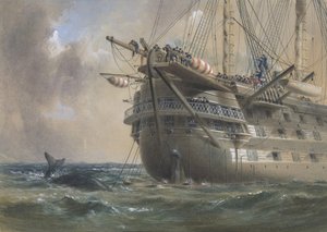 H.M.S. Agamenon colocando o cabo telegráfico do Atlântico em 1858: uma baleia cruza a linha, 1865-66.