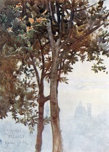 Um efeito de névoa das torres de Florença (litografia a cores)