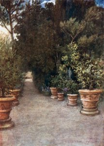 O passeio de Ilex, Villa dell