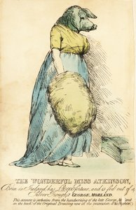 The Pig-Faced Lady, famosa em Londres por volta de 1815.