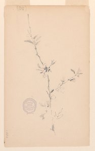 Galho de Robert Frederick Blum