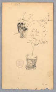 Desenho, Vasos de flores, 1877 de Robert Frederick Blum