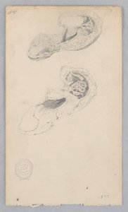 Sapato de Robert Frederick Blum