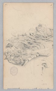 tapete de pele de tigre de Robert Frederick Blum