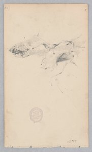 tapete de pele de tigre de Robert Frederick Blum