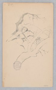 Galho de árvore de Robert Frederick Blum