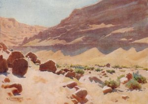 Uma Wady nas colinas de Mokattam, c1880, 1904
