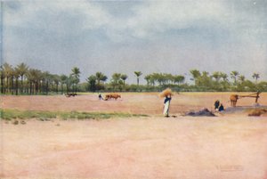 Esbet-El-Ekiad - Terra de Goshen, c1880, 1904