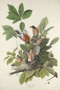 paisagem de Robert Havell