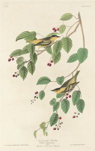 paisagem de Robert Havell