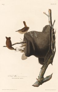 Casa Wren, 1830. de Robert Havell