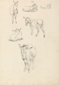 Um Burro, Seis Estudos: Deitado, Andando, Em Pé, Sentado