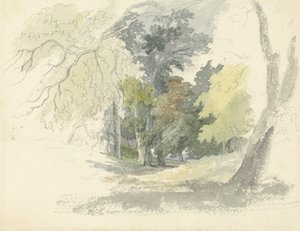 Uma Glade da floresta de Robert Hills