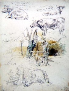 Estudos de Bovinos de Robert Hills