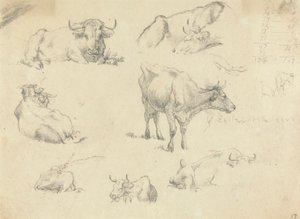 Vacas de vários ângulos de Robert Hills