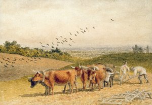 Bois arando um campo de Downland