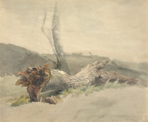 A Árvore Caída de Robert Hills
