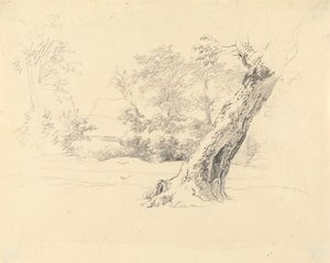 Estudo das árvores de Robert Hills