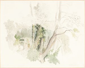 Árvores em Beddington de Robert Hills