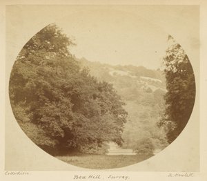 Box Hill, Surrey de Robert Howlett
