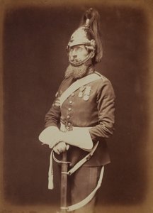 Sargento-Major Bailey, 1º Guarda Real Dragão