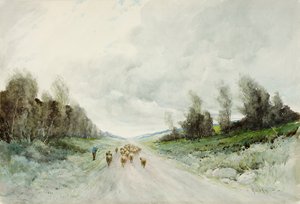 A Northumberland Road (wc no papel) de Robert J. Hewitt
