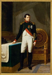 O Imperador Napoleão I como Coronel dos Chasseurs a cheval de la garde ... (pintura sobre tela) de Robert Lefevre