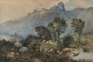 Paisagem com patos-reais de Robert Scott Temple