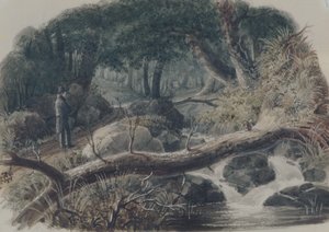 A entrada de um bosque de Robert Walter Weir
