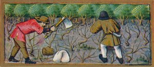 Março - trabalhando na vinha, século XV, 1939.