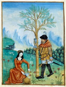 A Recoleção Bálsamo. Um homem cola a resina, ou seve, fluindo de uma árvore (Flora: bálsamo), usada para a medicina, enquanto uma mulher a coloca em um barril. Miniatura em "Livro dos médicos simples" (Folio 187v) v.1520-1530. Enlumine por Torneira Testard