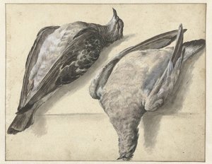 Dois pombos mortos de Rochus van Veen