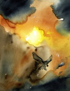Águia a planar ao pôr-do-sol de RodMacIver