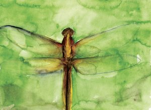 Libélula Verde em Aquarela de RodMacIver