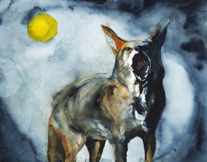 Lua do Coiote Uivante de RodMacIver