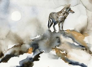 Lua do Lobo Solitário de RodMacIver