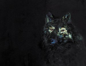 O misterioso lobo negro