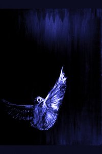 O Voo da Coruja Azul Mística