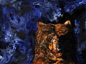 O olhar poderoso do urso pardo