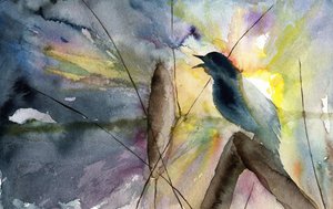 Nascer do sol com pássaros a cantar