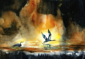 Aves aquáticas ao pôr do sol de RodMacIver