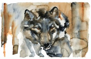 Lobo Selvagem em Aquarela de RodMacIver