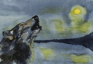 Lobo a uivar para a lua de RodMacIver
