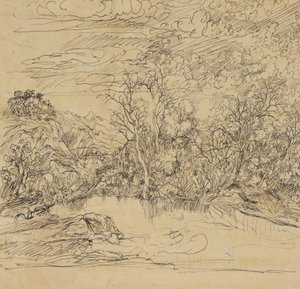 Banco de uma lagoa de Rodolphe Bresdin