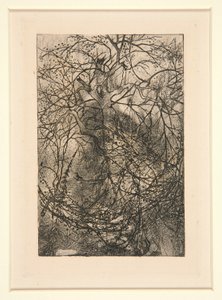 Sucursais de Rodolphe Bresdin
