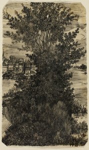 Grupo de árvores com uma vila à distância de Rodolphe Bresdin