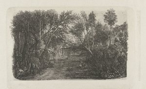 Paisagem com riacho e árvores nas margens Le cours d