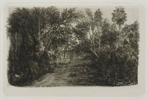 O riacho de Rodolphe Bresdin